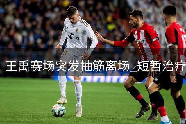 王禹赛场突发抽筋离场 短暂治疗后顽强重返球场
